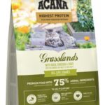 61910b5575ba02bbf19e00e38751c16a