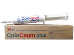 cacecbe641311efe808624c50985ee59