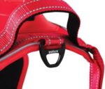 a9603198889bfa8d5ec6a1ba2bc8c208