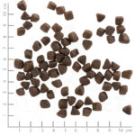Wolfsblut Dog Cold River Small - pstrąg i bataty 7,5kg - obrazek 3