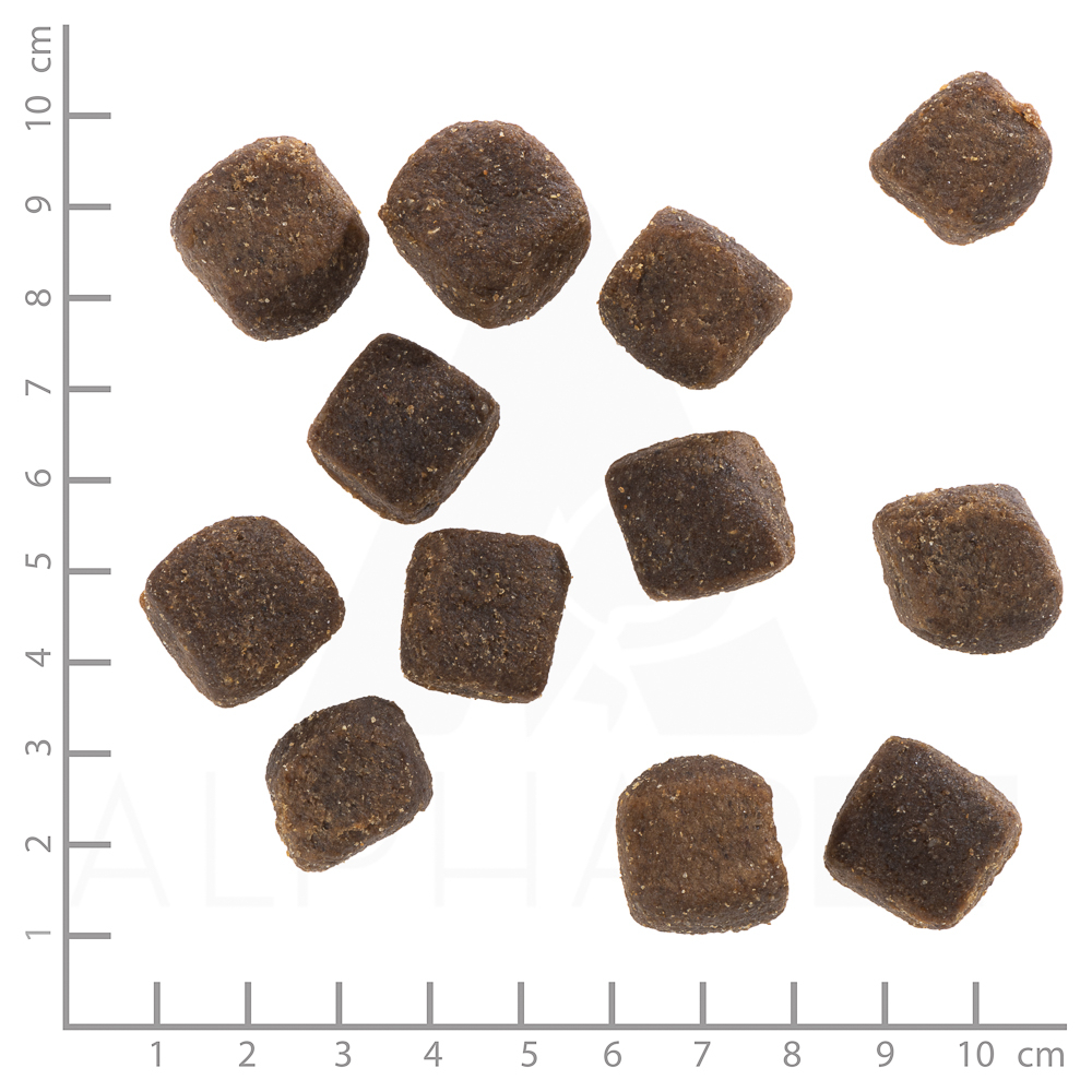 Wolfsblut Dog Squashies Dark Forest - dziczyzna i bataty 300g - obrazek 3