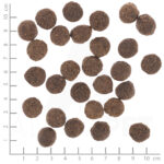 Wolfsblut Dog VetLine Renal - kurczak i bataty 12kg - obrazek 2