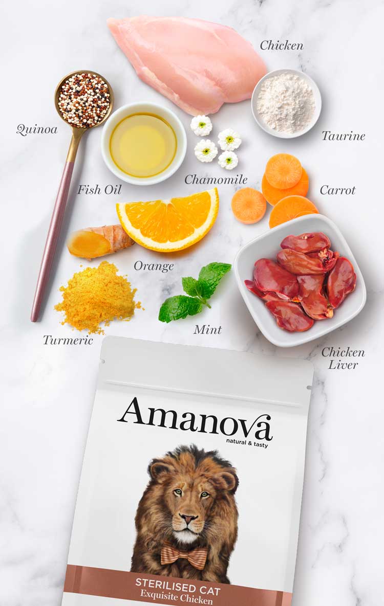 Amanova Cat Sterilised Exquisite Chicken - kurczak 300g - obrazek 3