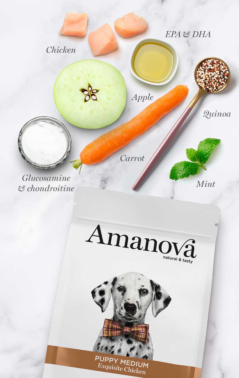 Amanova Dog Puppy Medium Exquisite Chicken - kurczak 2kg - obrazek 4