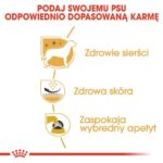 88e63f489cdf77857ff2f923bcfe0e07