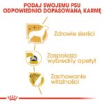 185270d77e88db81e1f5586439e3d14e