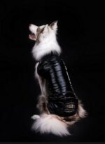 200fedd047e039d74bccb50f6dd34590