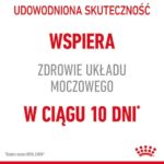 97359f7a2867d9774f6182a2fd0c0b35