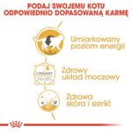 0181e2a36e6e92df7061bf51cd8de136