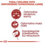 57886d964995a6c8bb88a6d7ec580531