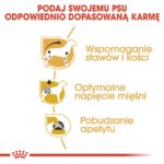 61ebdc77e7e9a750c9ae7302fb9424f3