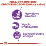 88d45970a8d360f65e40bfb0ae7e2cc6