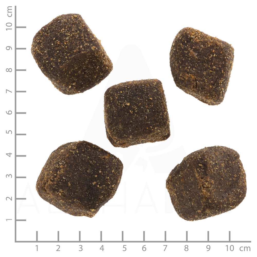 Wolfsblut Dog Squashies Black Bird - indyk i bataty 100g - obrazek 3