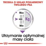 90d7c83b2924278a90e66bd7cd6cc258