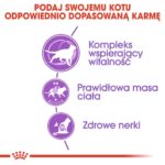 ebf6d6bf883c0fe4627052a65f7bd1b7