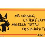 5c25cfee253b28a7e8261ea12c061608